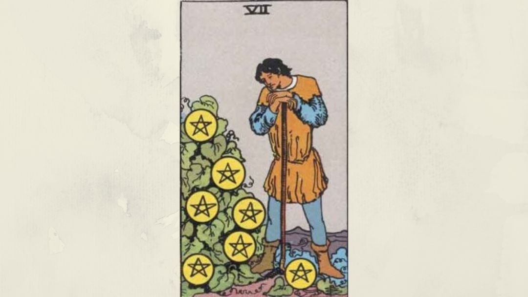 7 of Pentacles – Rider-Waite