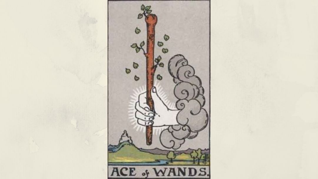 Ace of Wands – Rider-Waite